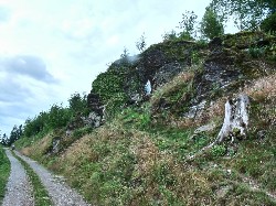 Thumbs/tn_GEDC0287 1.jpg